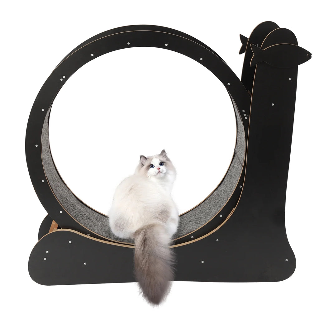 Cat Running Wheel Treadmill with Safety Lock Wooden Exercise Wheel F3395