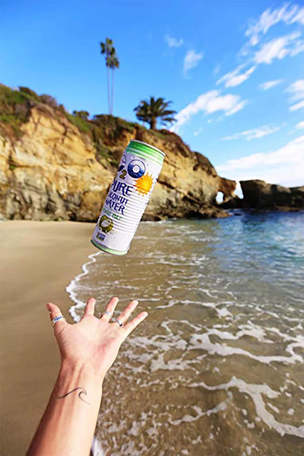 Coconut Water with Pulp 17.5 FL OZ Pack of 12 C4995