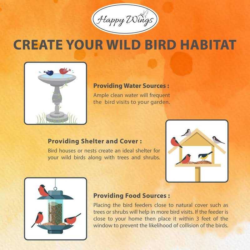 Thistle/Nyjer Seed Bird Food Z141
