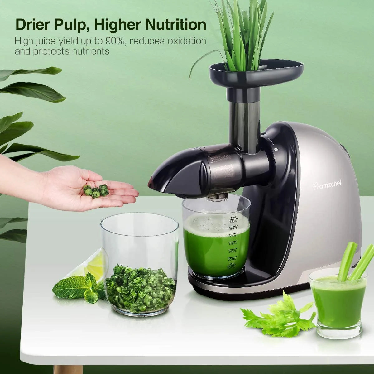 Gray Masticating Slow Juicer J1059