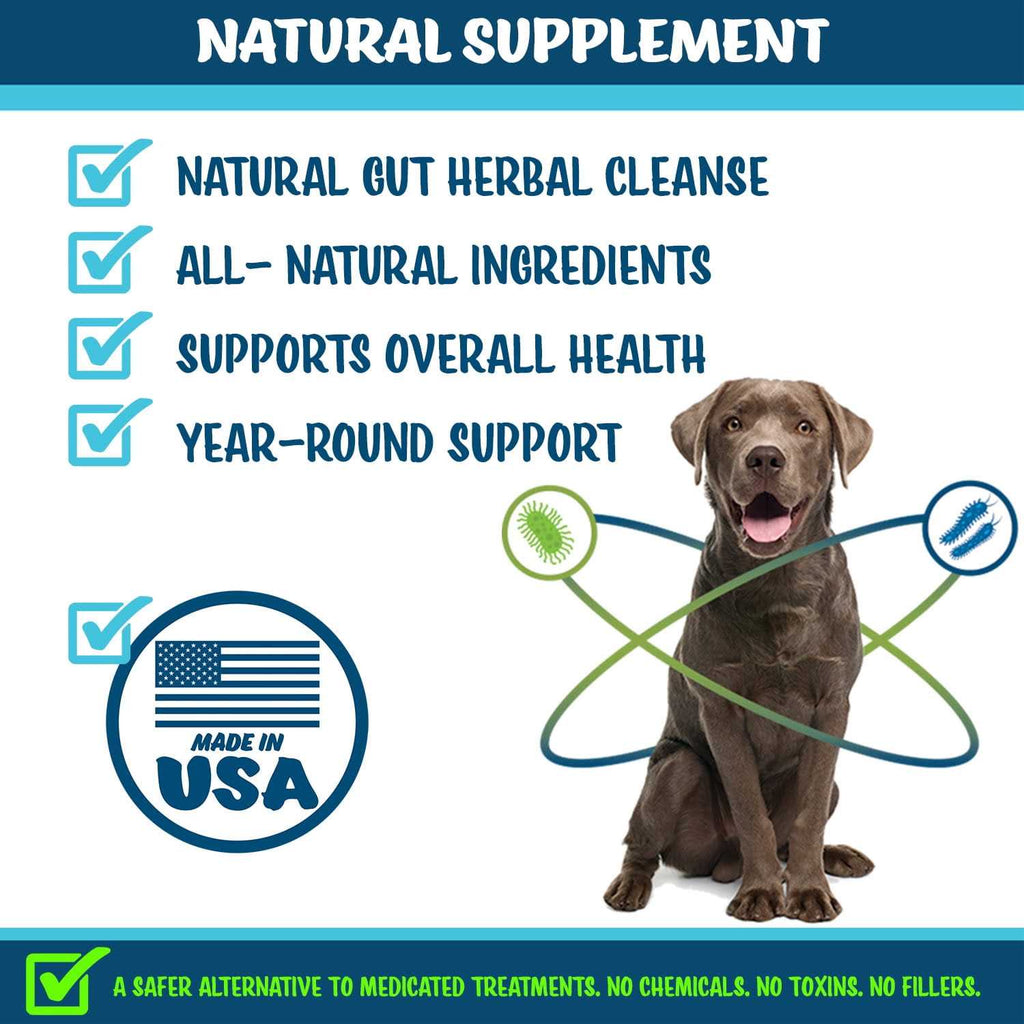 Soft Chews Supplement H42004