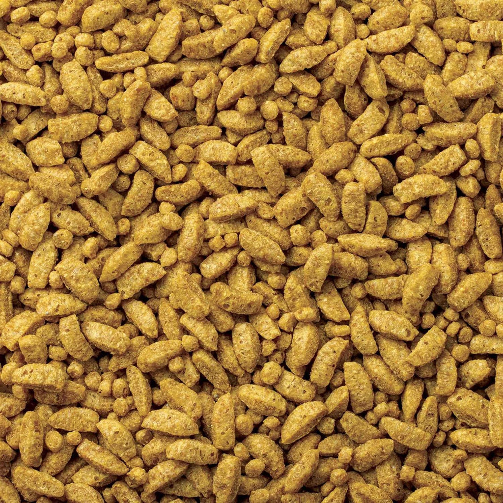 Small Bird Diet Food F603