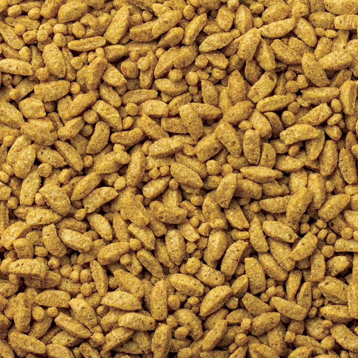 Small Bird Diet Food F603