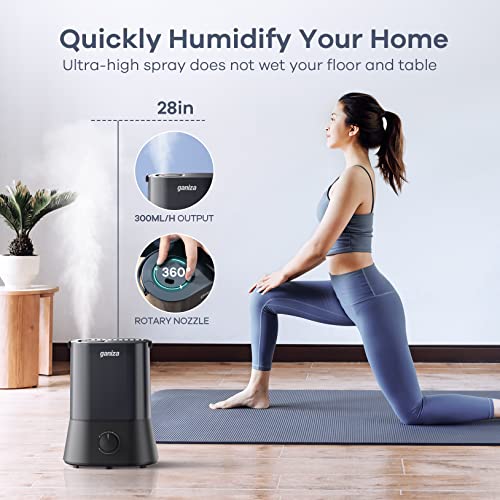 4L Cool Mist Ultrasonic Humidifier Z227196