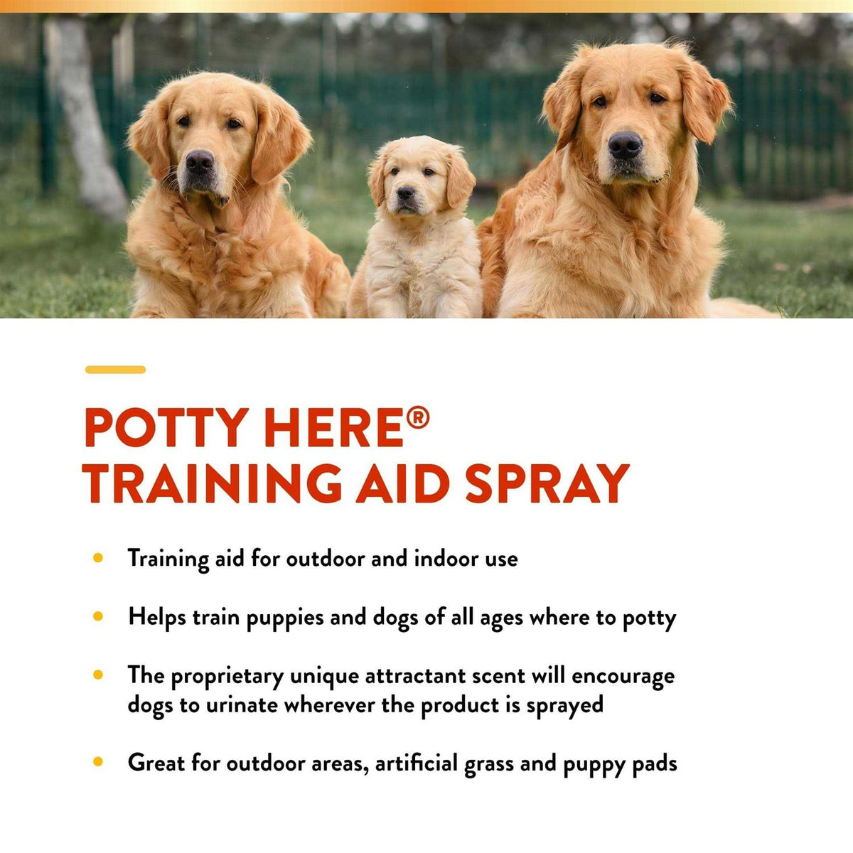 Potty Training Aid Spray Q1386
