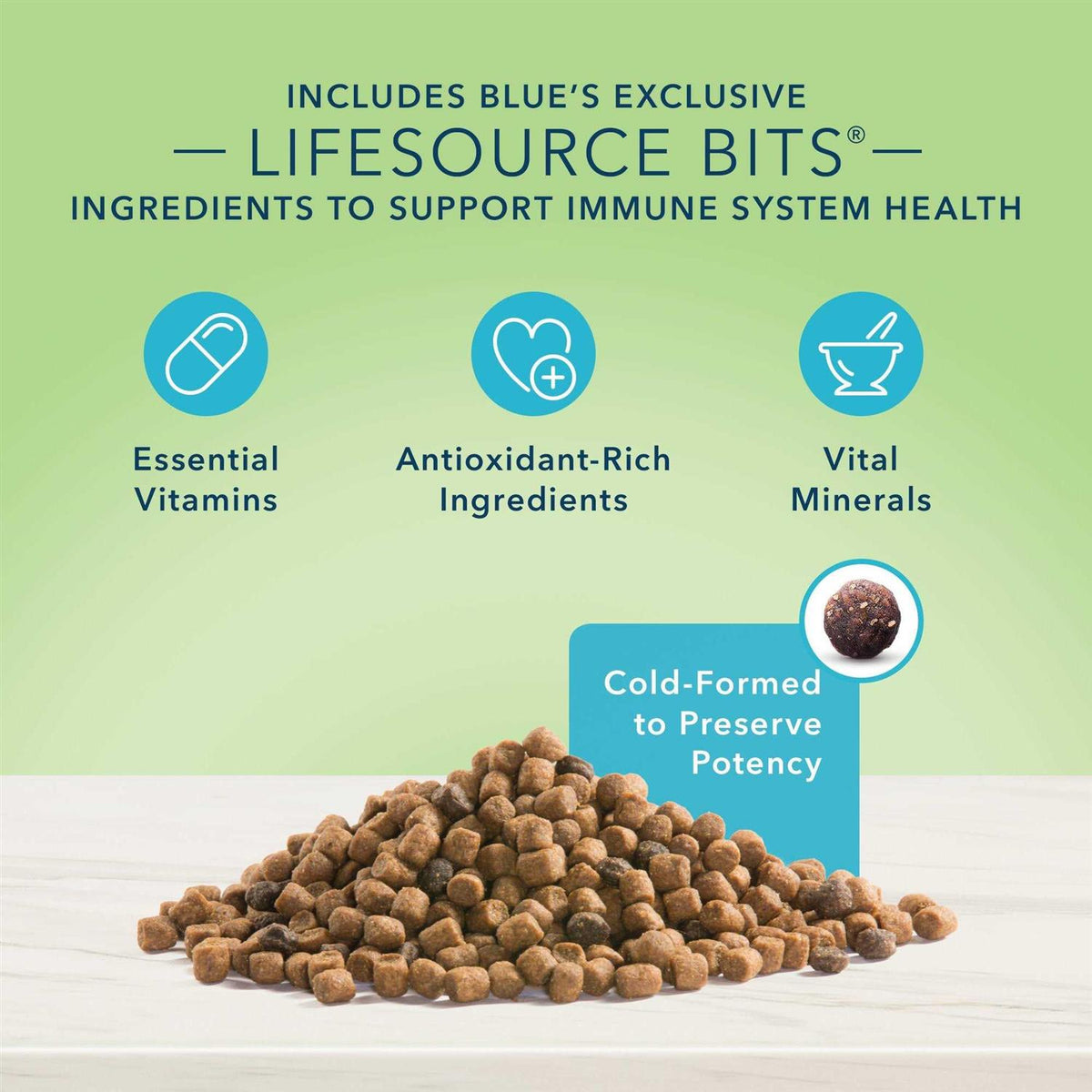 Natural Skin & Coat Care Adult Dry Cat Food B6237