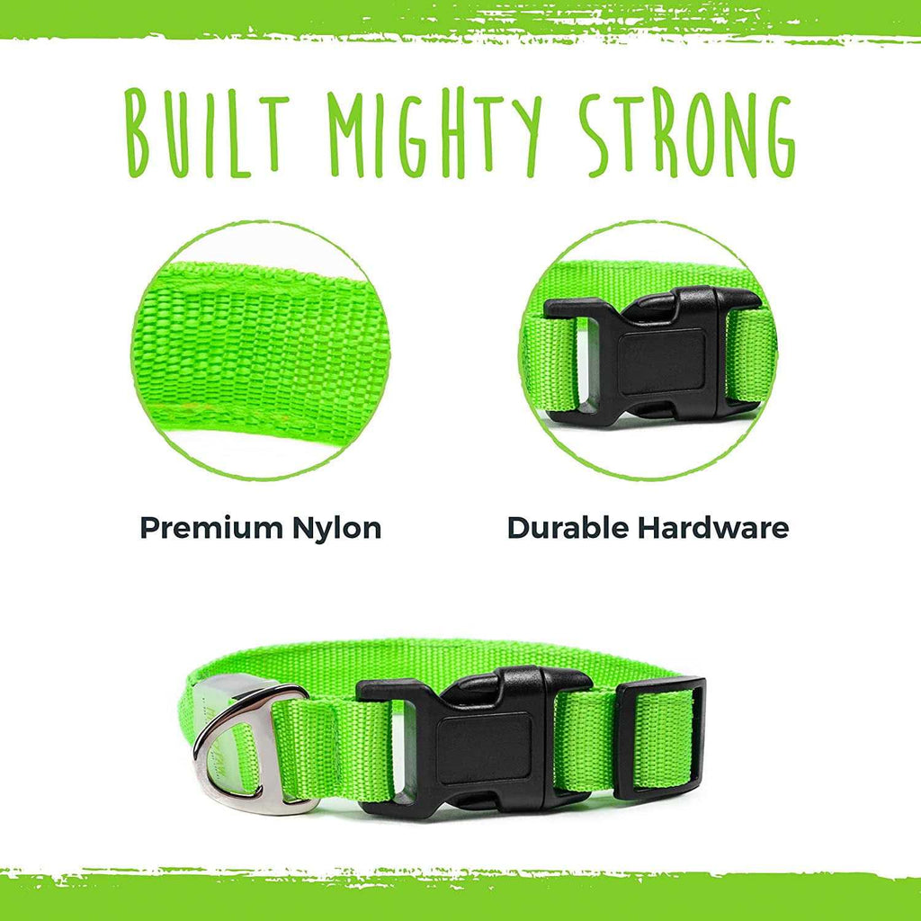 LED Dog Collar USB Rechargeable B33595