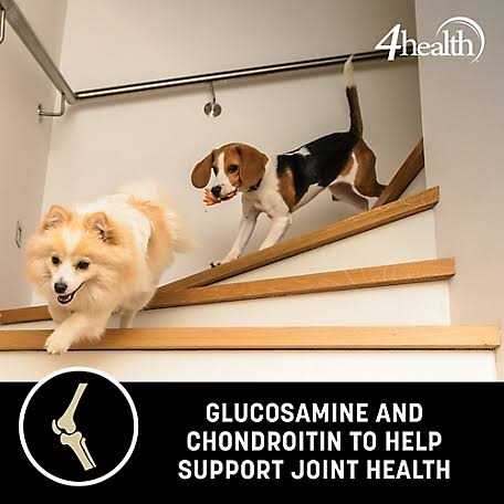 4health Wholesome Grains Adult Lamb and Rice Formula Dry Dog Food B641