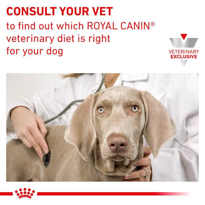 Veterinary Diet Canine Dental Adult Small Dog Dry Food D465691