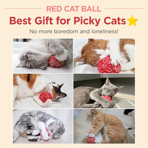 Red Catnip Silvervine Cat Toy H5069