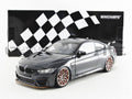 Grey Metallic M4 GTS I4315