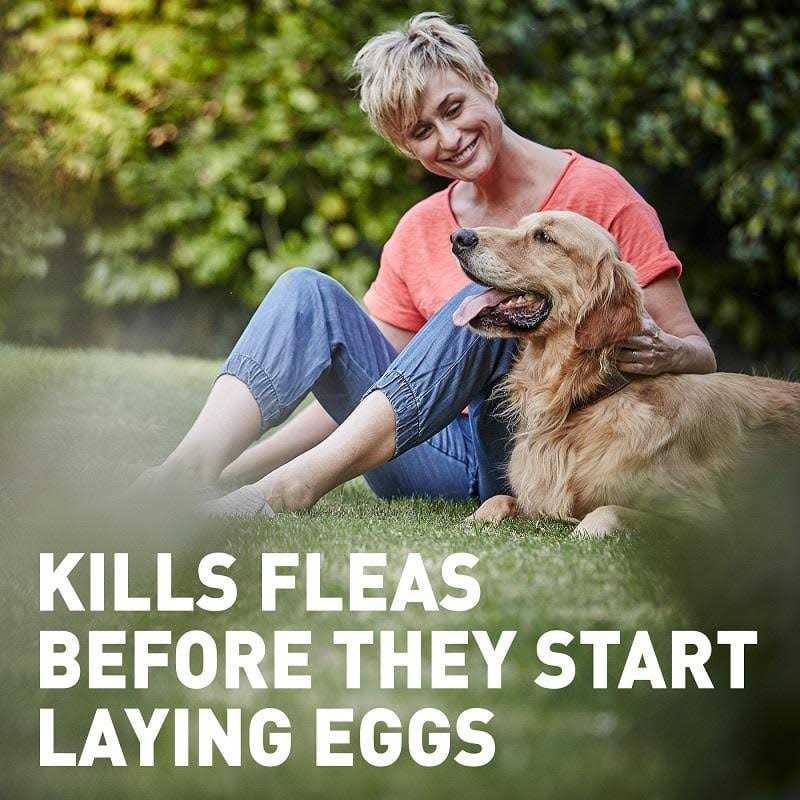 Chewable Tablet for Dogs and Cats E752