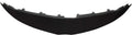 Front Grille Trim W900717