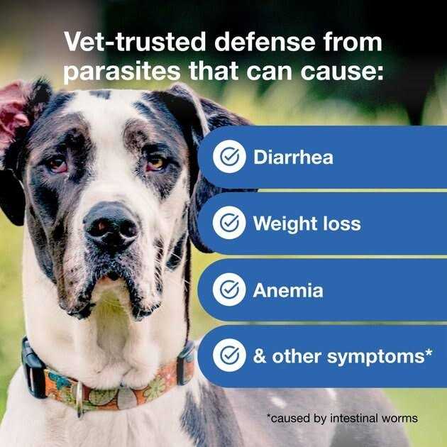 Interceptor Plus for Dogs U253