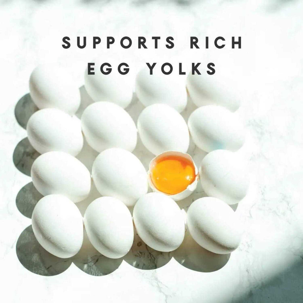 Omega Egg Maker Supplement T65076
