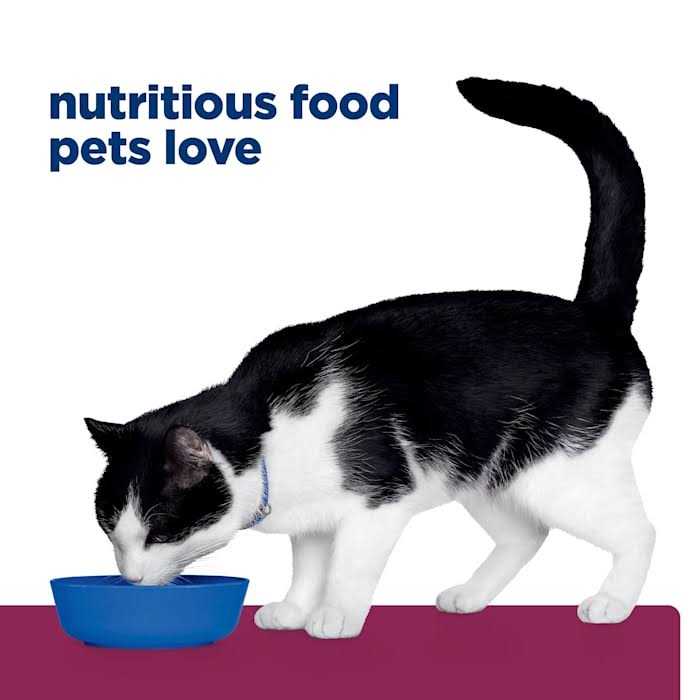 i/d Cat Nutrition H732