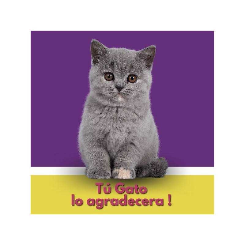 10.5-lb bag pack of 4 Fresh Scented Clumping Clay Cat Litter R196
