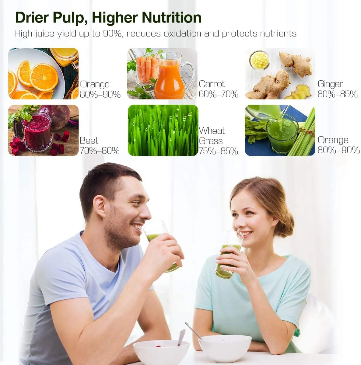 Gray Masticating Slow Juicer J1059