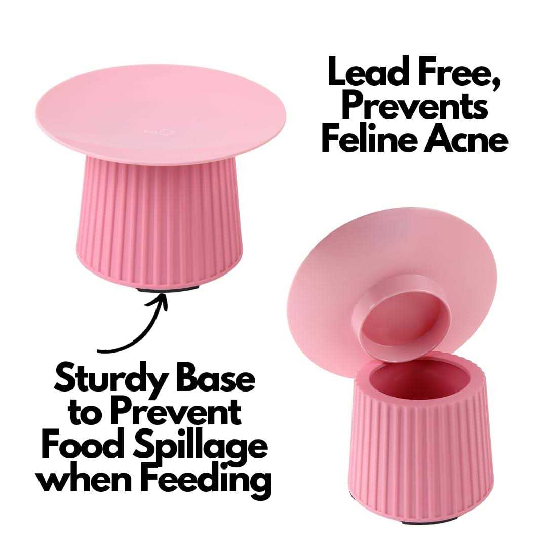 Elevated Cat Food and Water Bowl Set Z34787
