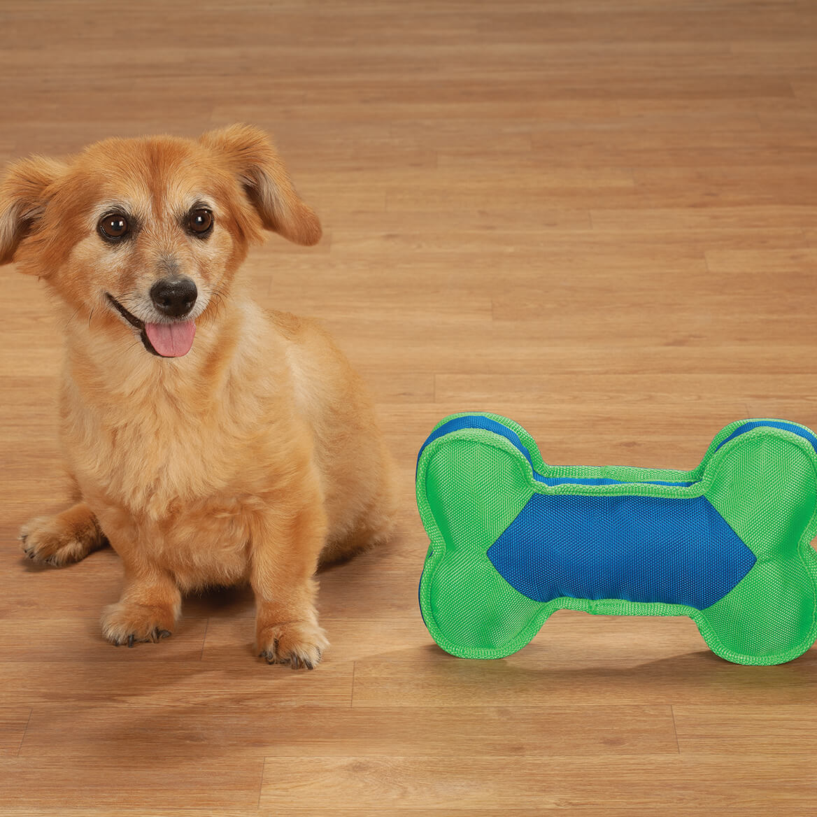 Squeaker Dog Bone L101643