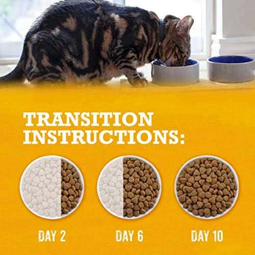 Grain Free White Meat Chicken & Egg Recipe Dry Cat Food H815809