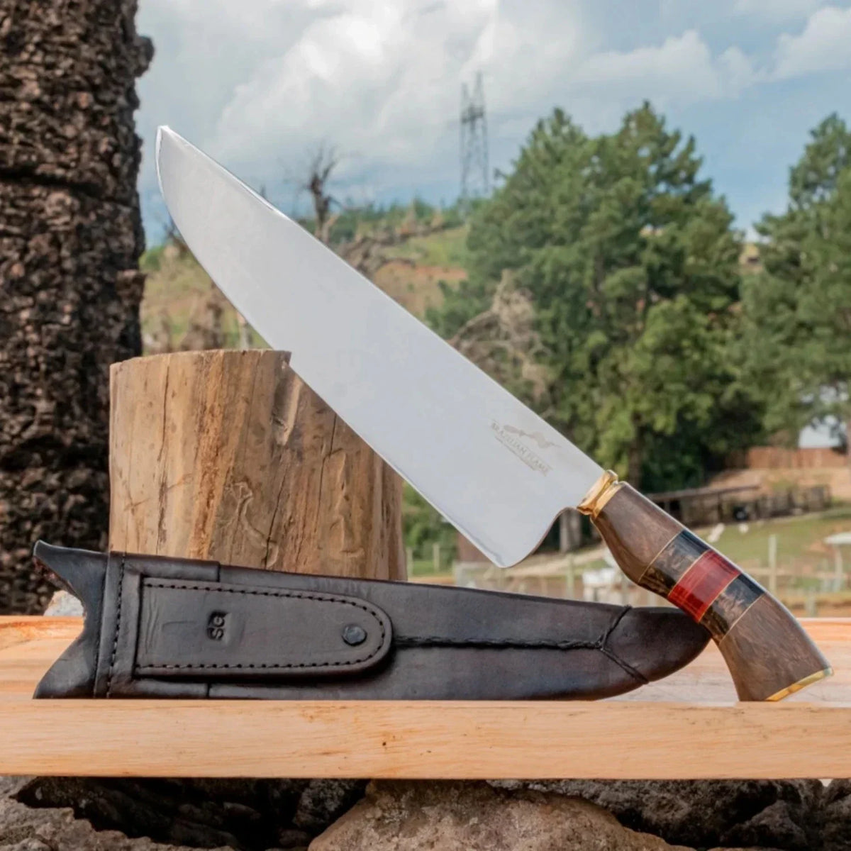 Picanha Knife X768176