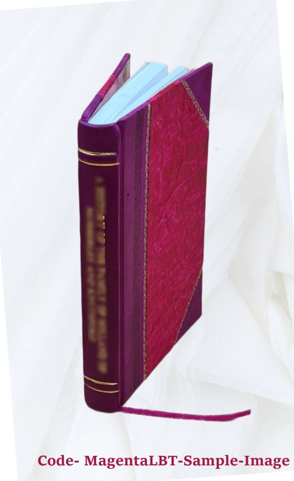 Minutes of the State Convention of the Baptist denomination in South Carolina, tenth annual meeting, Robertville, December 11–14, 1830 Y12129