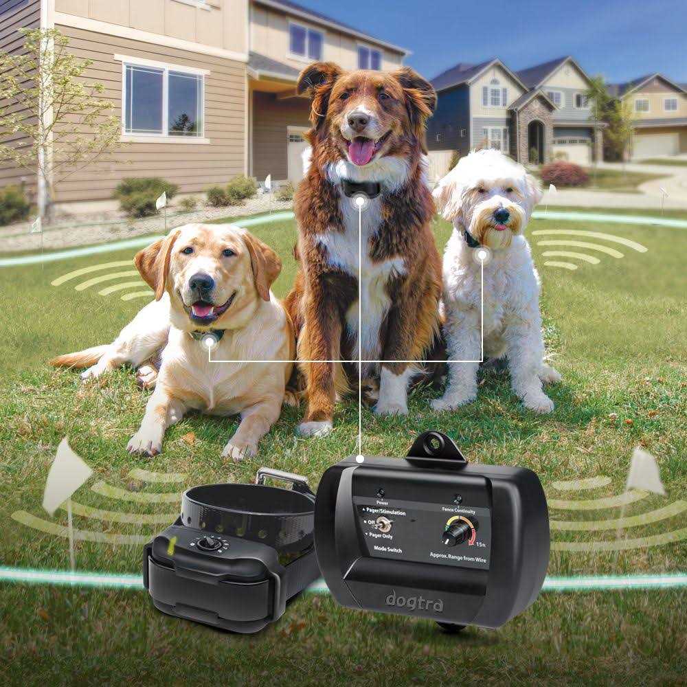 Dogtra E Fence 3500 V617