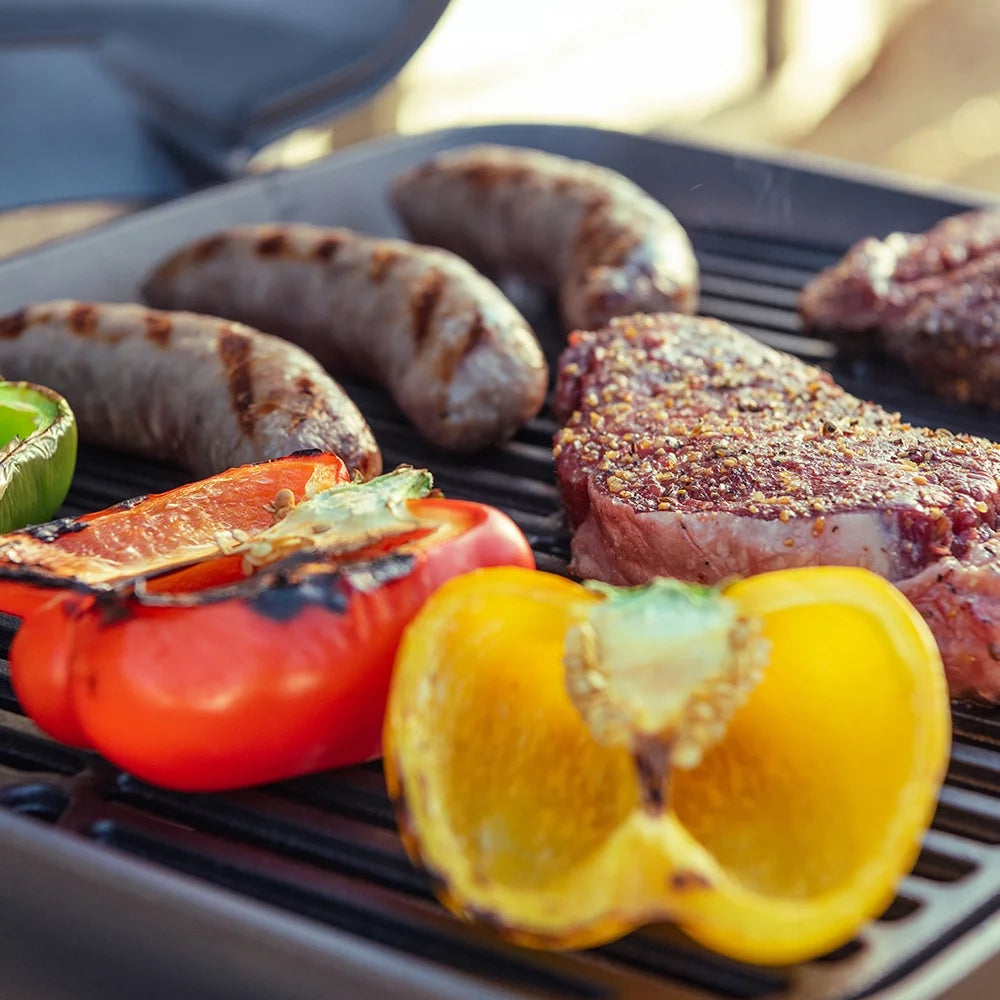 1 Burner Cast Aluminum Tabletop Propane Gas Grill Black G73656