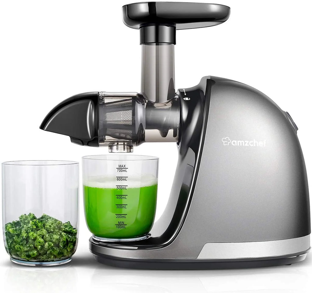 Gray Masticating Slow Juicer J1059