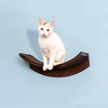 Cat Shelf R5966