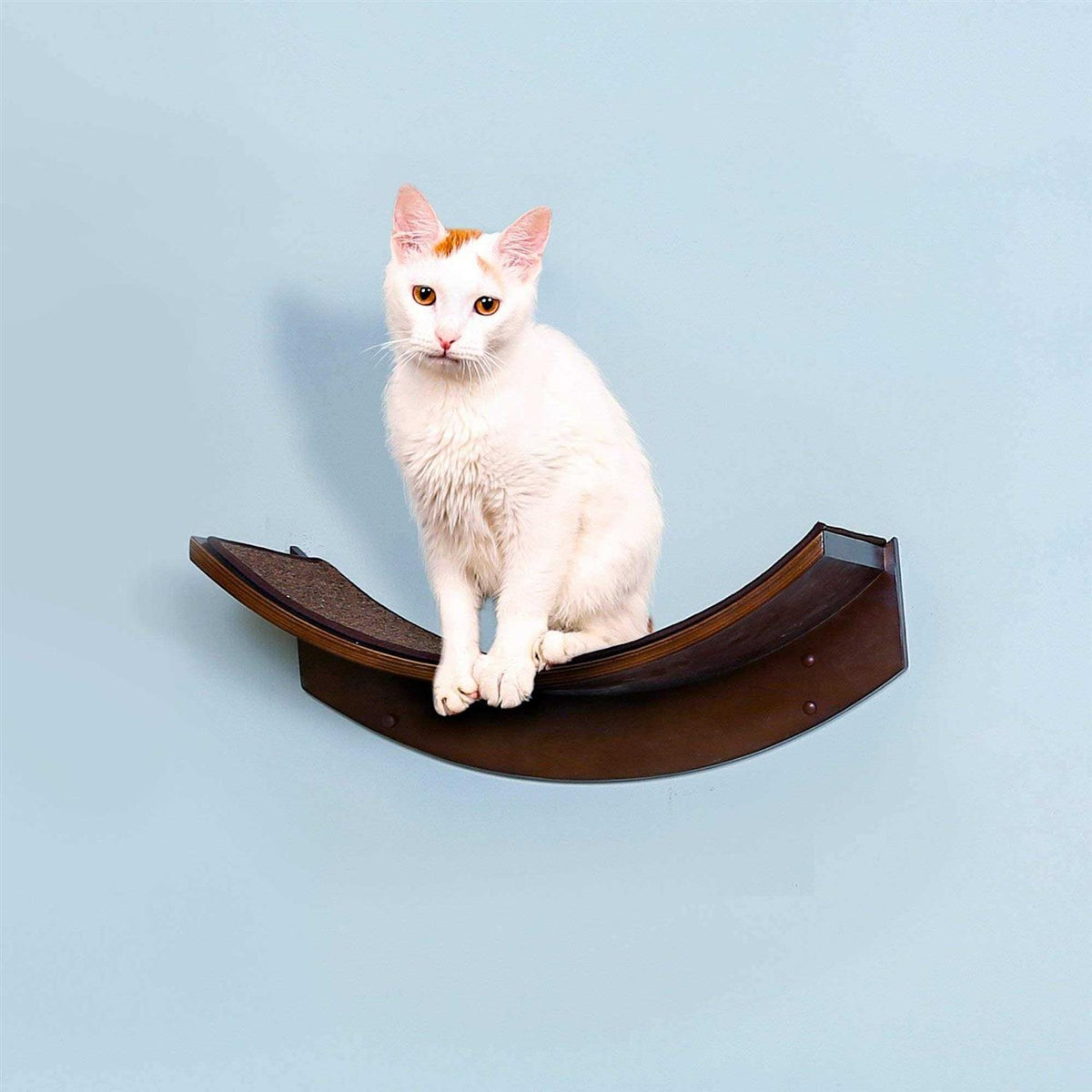Cat Shelf R5966