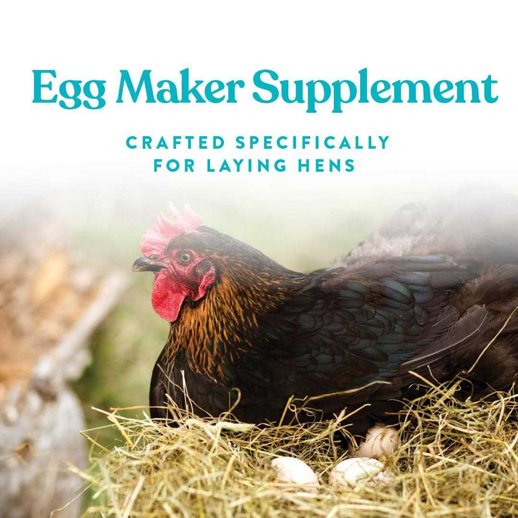 Omega Egg Maker Supplement T65076