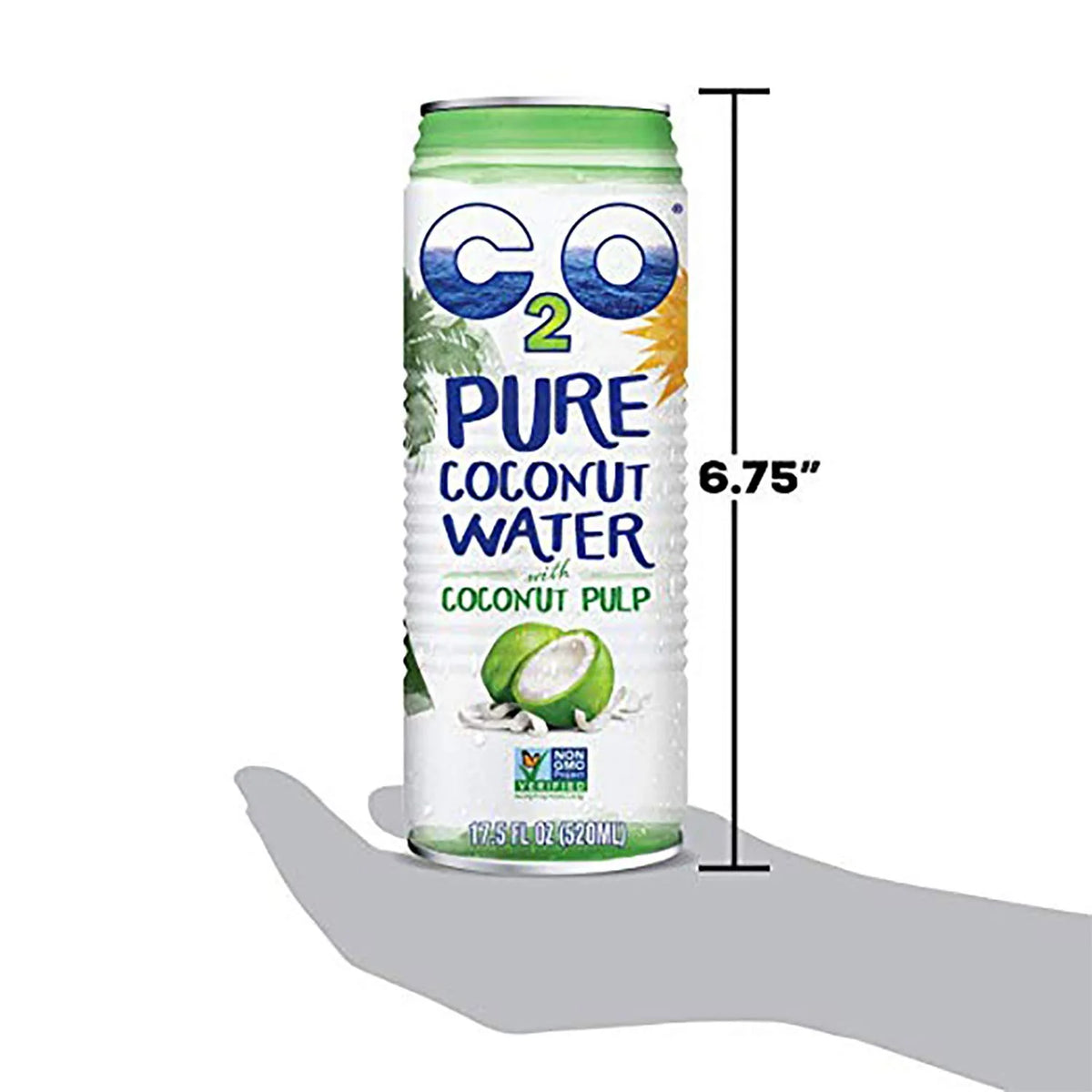 Coconut Water with Pulp 17.5 FL OZ Pack of 12 C4995