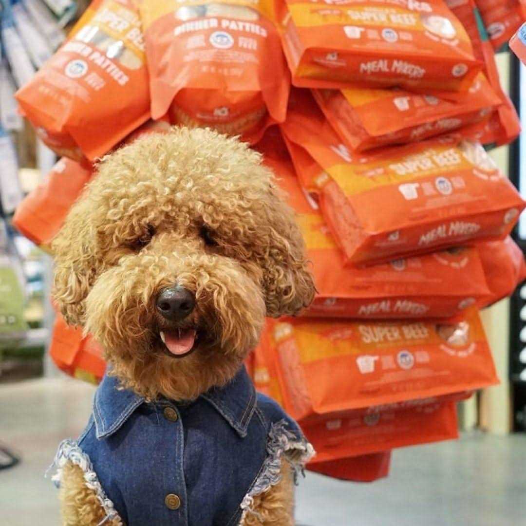 Freeze Dried Dog Food X1971