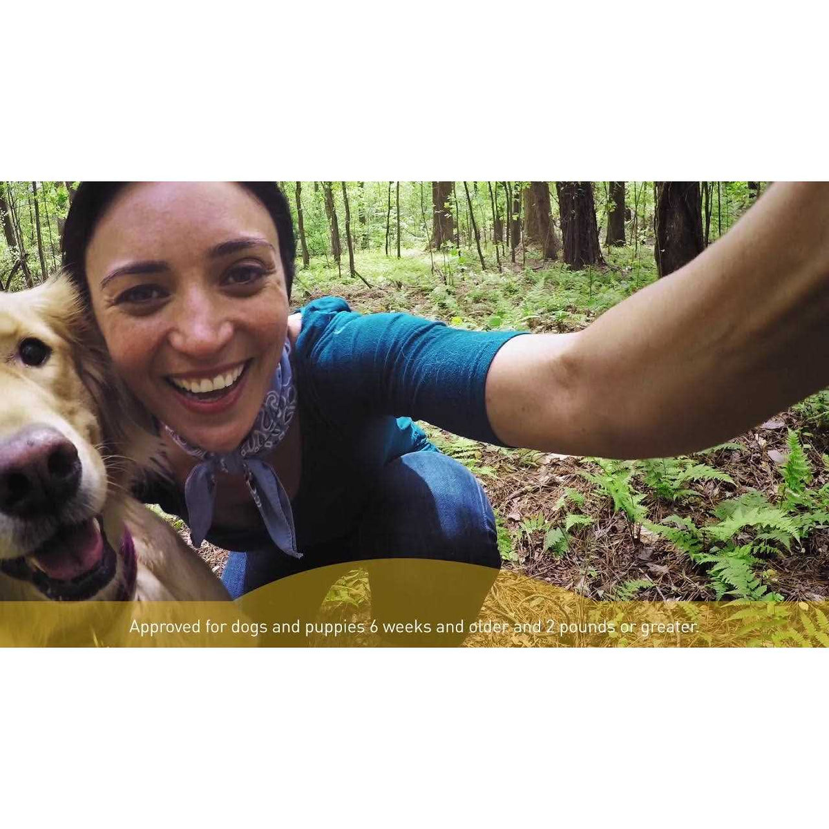 Interceptor Plus for Dogs U253