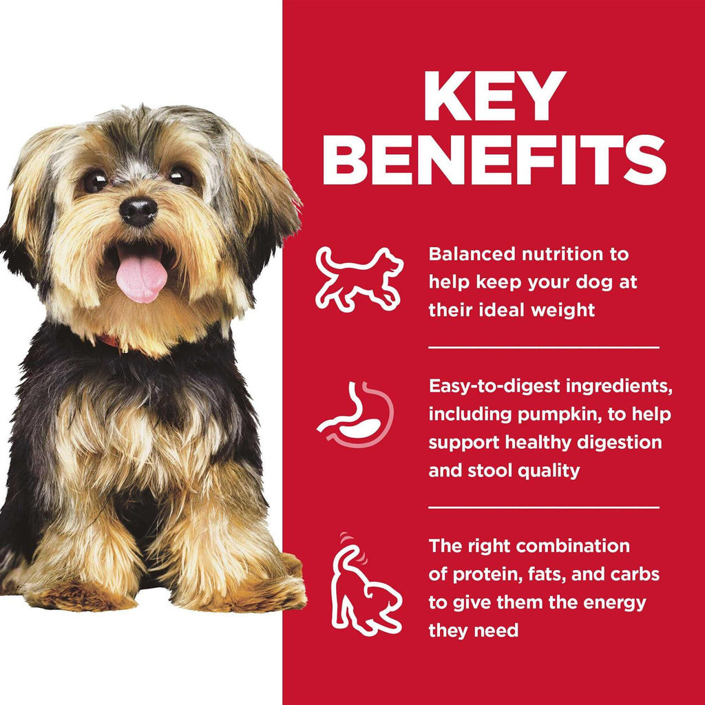 Dry Dog Food M989865