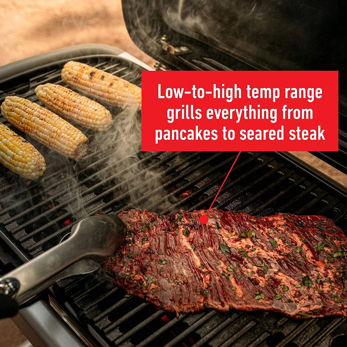 Portable Gas Grill K545424