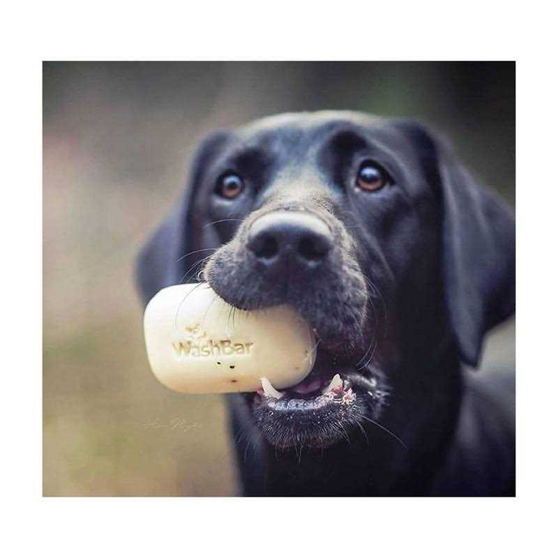 Soap for Dogs N29069