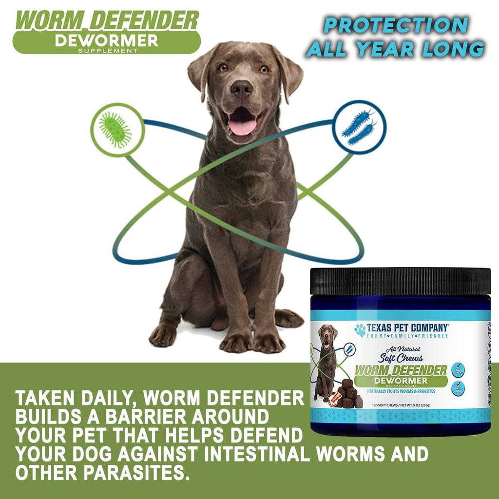 Soft Chews Supplement H42004