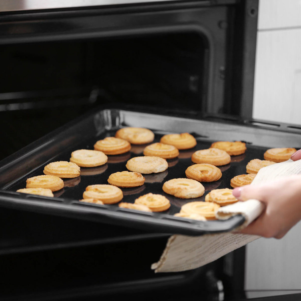 24 in. Single Gas Wall Oven with Convection Fan in Stainless Steel W560