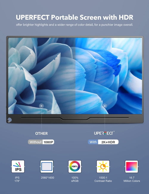 13.3'' 2560×1600 IPS USB C Portable Monitor A8643