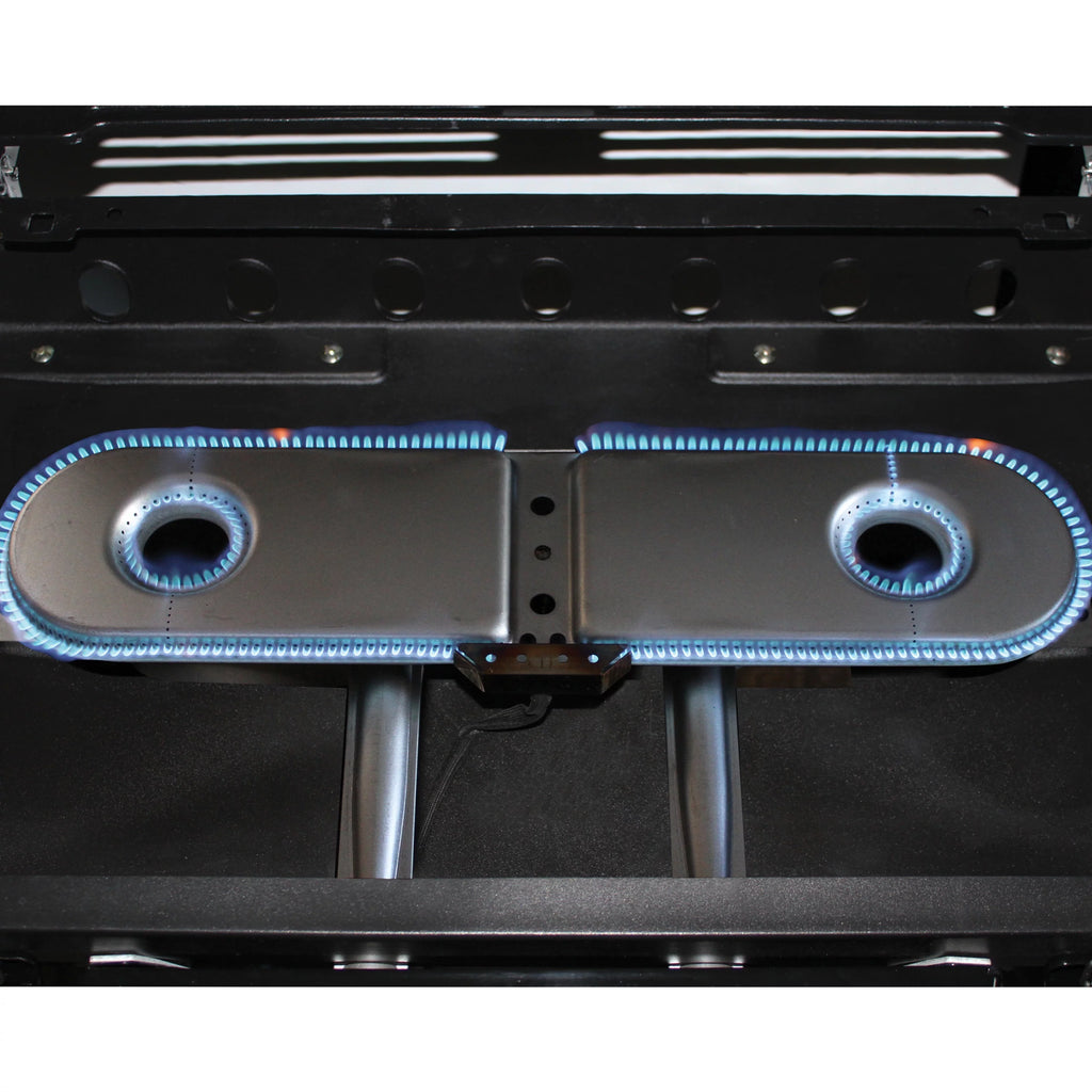 2 Burner Propane Gas Portable Grill R1083