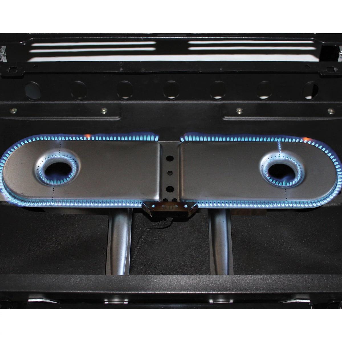 2 Burner Propane Gas Portable Grill R1083