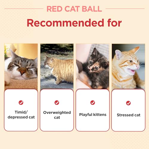 Red Catnip Silvervine Cat Toy H5069