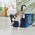 High Sided Cat Litter Box R3178