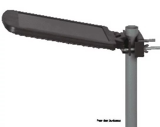 Solar Motion Dusk to Dawn Area Light, 1,000 Lumens X46184