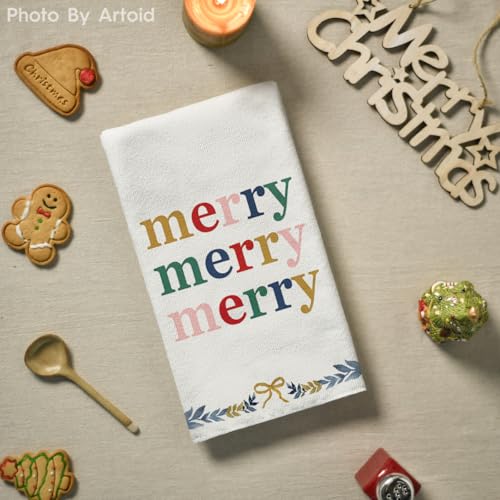 18x26 Inch Set of 4 Christmas Kitchen Towels O836