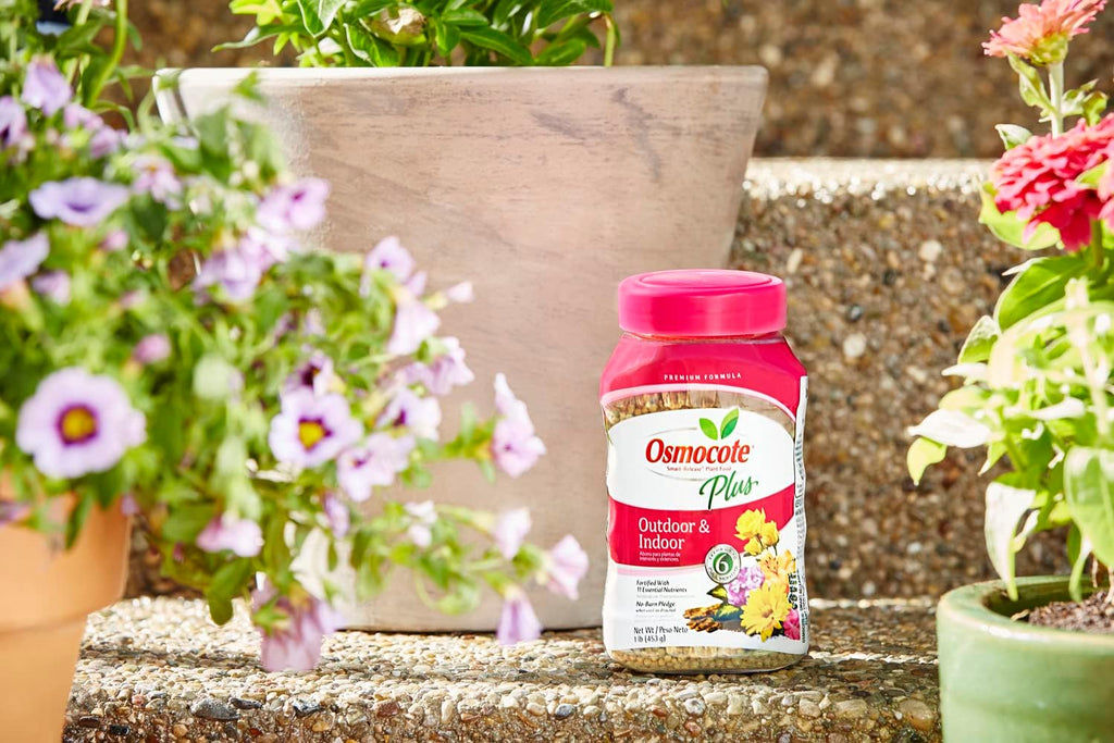 1 lb. Smart-Release Plant Food Y5543