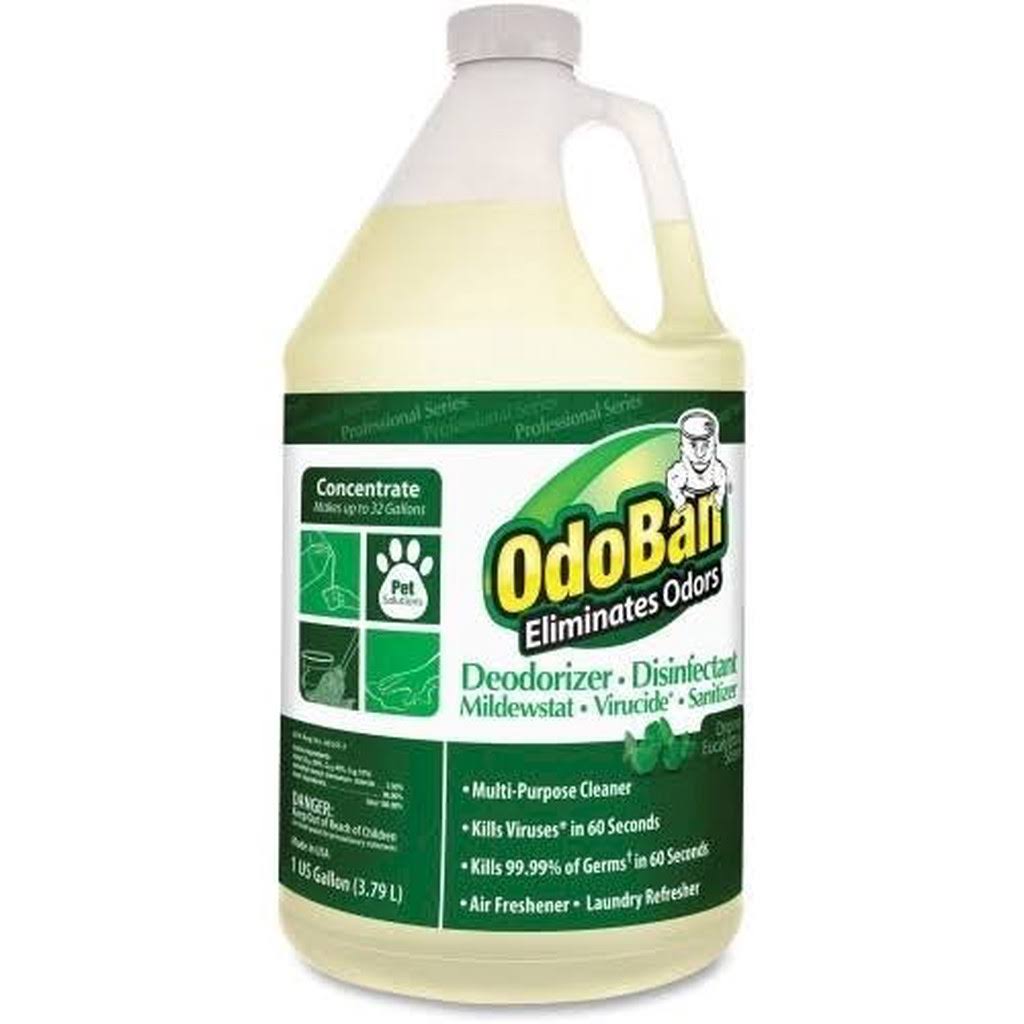 Concentrated Eucalyptus Multi-Purpose Cleaner C958197